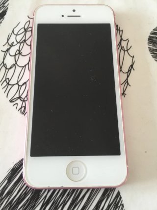 iPhone 5 bianco con custodia
