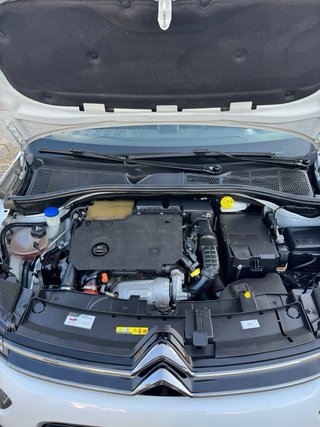 Citroen C4 Cactus 2019