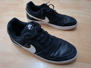 Zapatillas Nike SB Delta Force