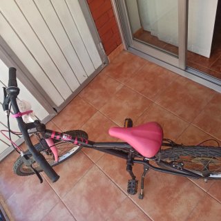 Bicicleta infantil 20 pulgadas(sin ruedines)