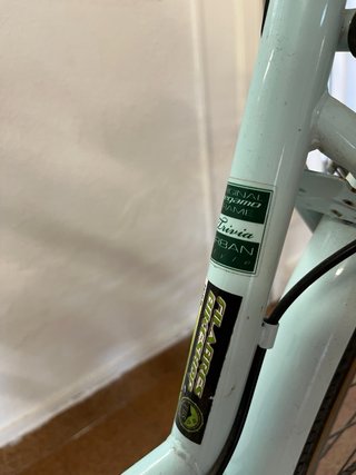 Bicicleta elegante color aguamarina