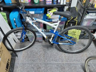 Bicicleta infantil Freerider