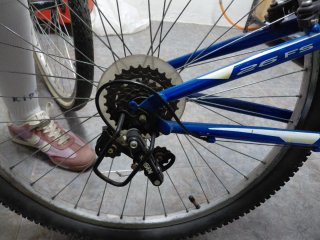 Bicicleta infantil Freerider