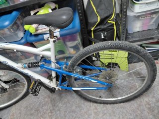 Bicicleta infantil Freerider