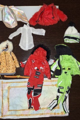 Lote 9 muñecas Rainbow High