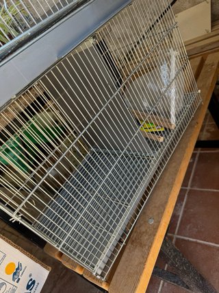 2 Jaulas para Pájaros Metálicas