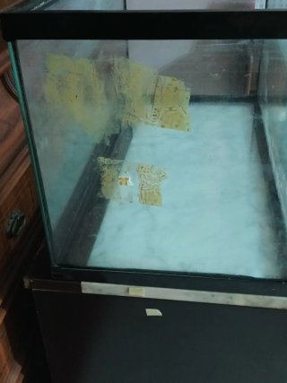 Acuario 54L con mueble marrón