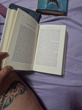 Cuentos