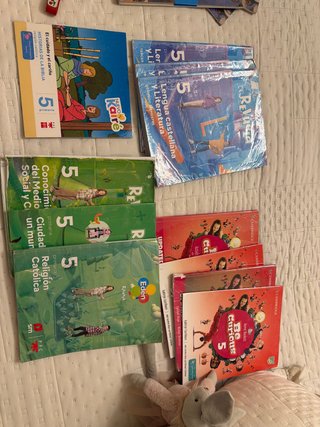 Libros de 5 de primaria SM