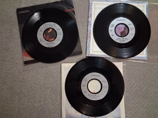 SANDRA: Lote 9 discos singles vinilo 7" 45 rpm