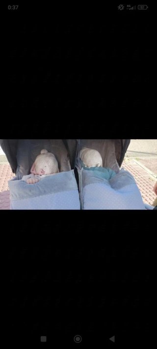 Dos Sacos Hamaca Mountain Buggy Duet KUKU GRIS