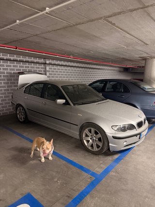 Despiece BMW 204cv 330d D2 Berlina automático