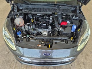 Despiece Ford Fiesta