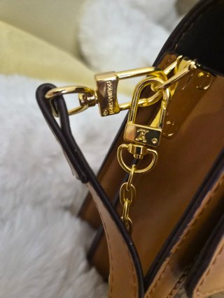 Borsa Louis Vuitton Marrone e Oro