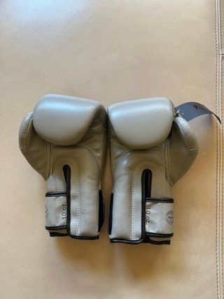 Guantes Boxeo Muay Thai Fairtex 10 oz