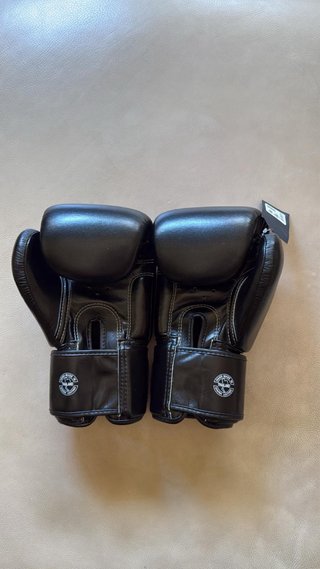 Guantes Muay Thai Fairtex 14oz Kick Boxing
