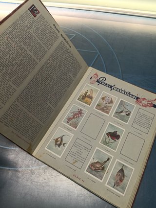 Las maravillas del mundo - Album