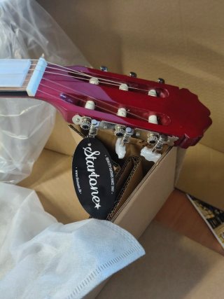Guitarra Amarilla, Nueva