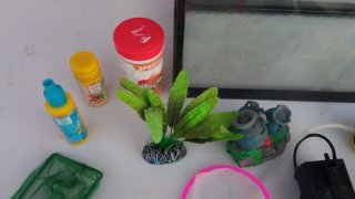 Acuario 20L y accesorios
