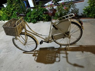 Bicicleta vintage con cesta