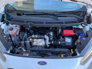 Ford Transit Connect 2021