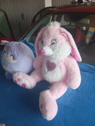 Lote 5 peluches surtidos: conejo, gato y ositos