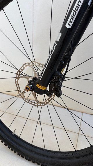 Scott Scale Carbono 29
