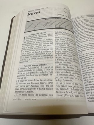 Biblia Reina Valera Letra Grande