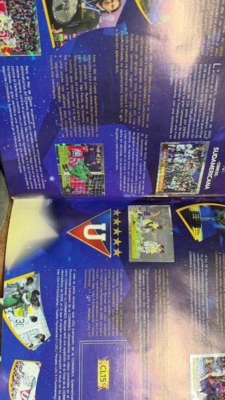 Álbum Panini Copa Libertadores 2024 completo