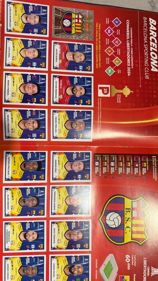 Álbum Panini Copa Libertadores 2024 completo