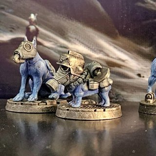 Perro Salchicha de Krieg