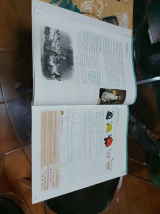 Lengua 5 Primaria
