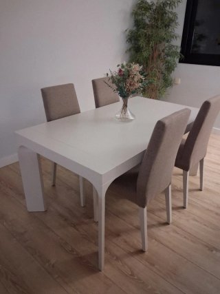 Mesa de comedor con 6 sillas