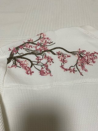 Camiseta Derschutze manga larga bordado