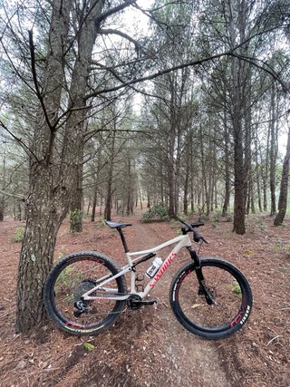 Bicicleta de montaña S-Works Epic 29”
