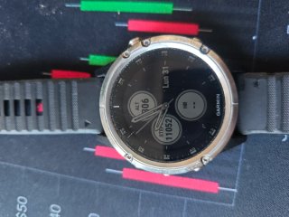 Reloj Garmin fénix 5 plus Plata y Negro