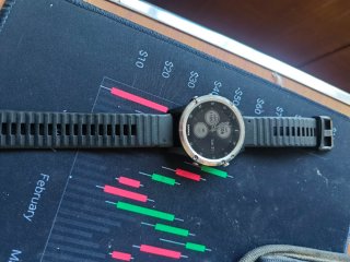 Reloj Garmin fénix 5 plus Plata y Negro