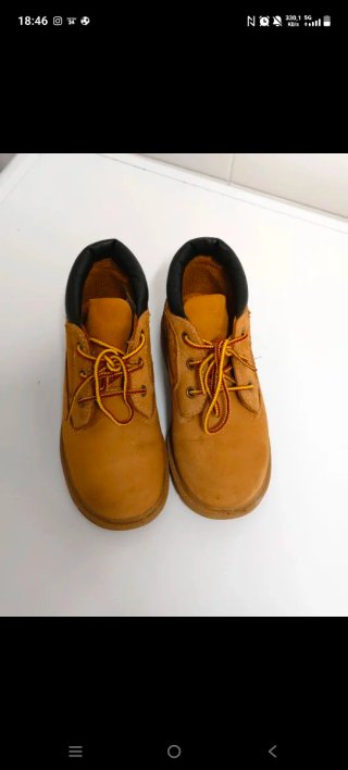 Timberland n.29