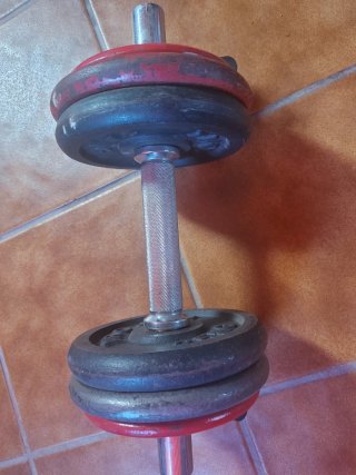 Lote de mancuernas ajustables