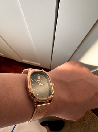 Reloj Tous Dorado y Gris