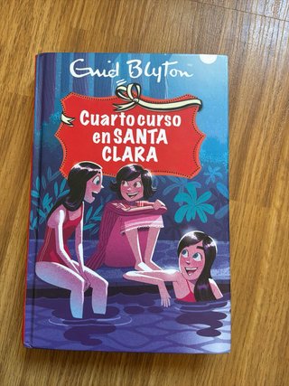 Libros, Las mellizas en Santa Clara