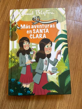 Libros, Las mellizas en Santa Clara