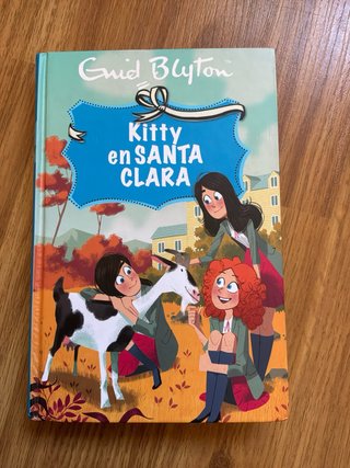 Libros, Las mellizas en Santa Clara