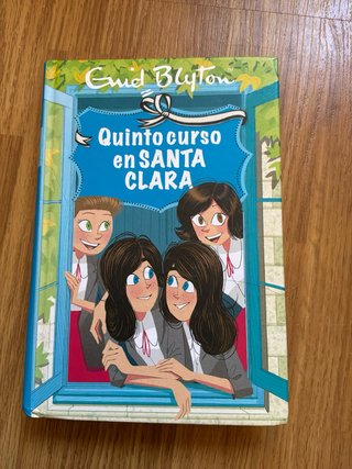 Libros, Las mellizas en Santa Clara