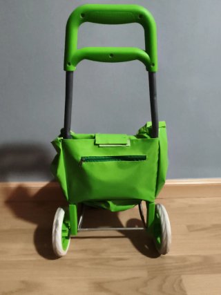 Carrito de la compra infantil