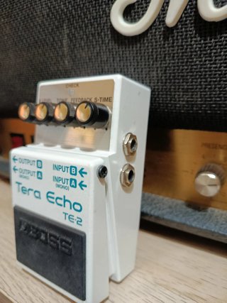 Boss Tera Echo TE-2 Pedal de Guitarra