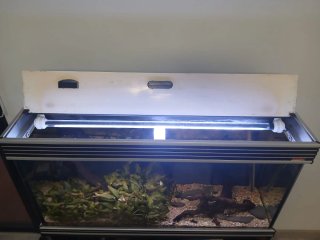 Acuario Wave 100 con mueble Medidas:100x40x53+mesa