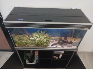 Acuario Wave 100 con mueble Medidas:100x40x53+mesa