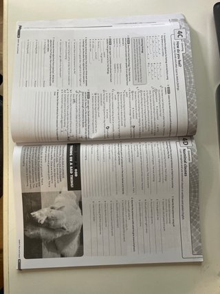 Libro ingles 4 ESO Solutions workbook Third Oxford