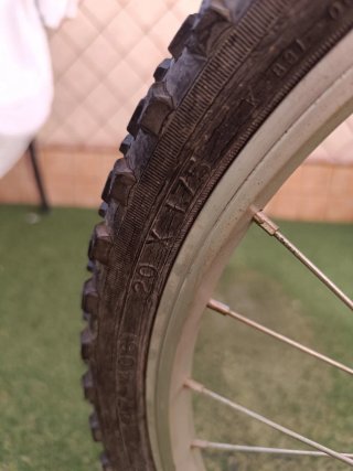 Bicicleta BH Oregon 20 Infantil